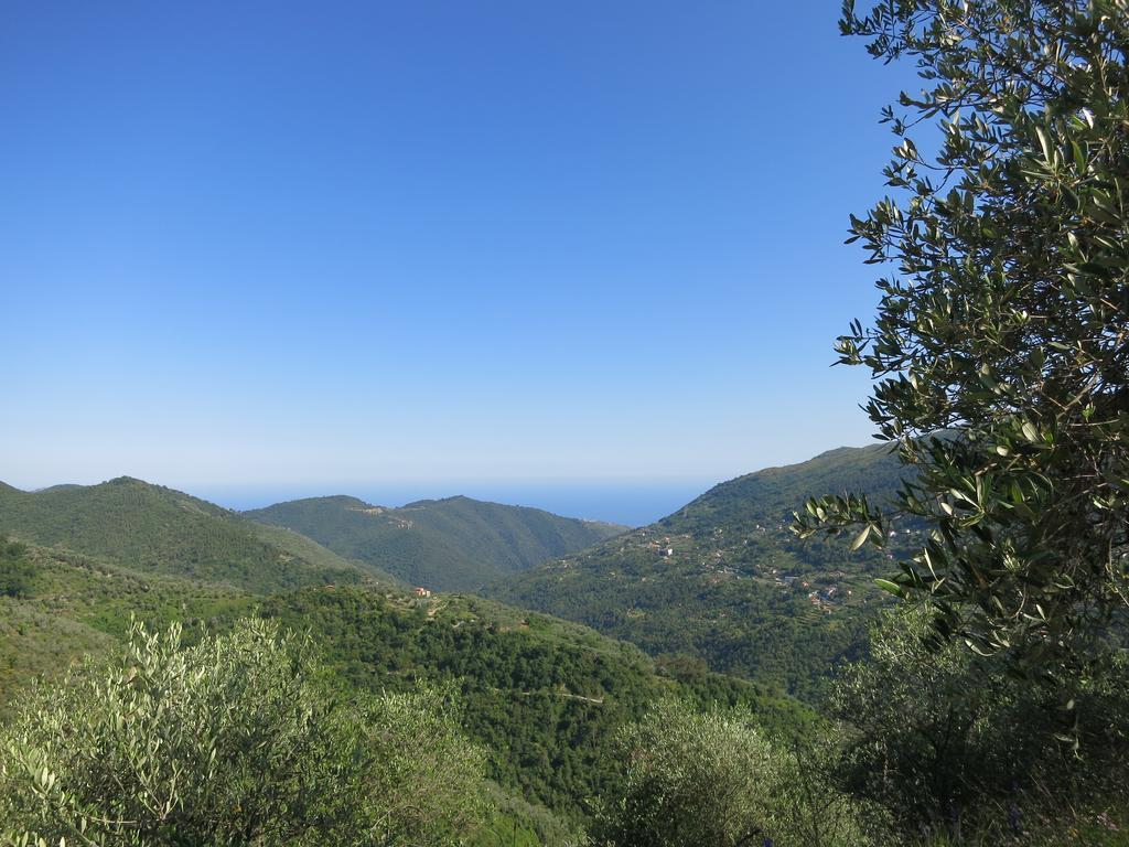 Rustic Liguria Vila Ceriana Exterior foto